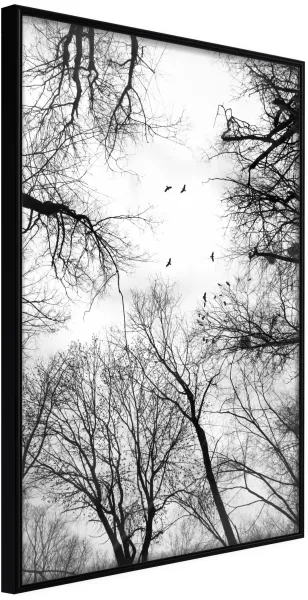 ARTGEIST Plakat med ramme - Treetops Sort 40x60